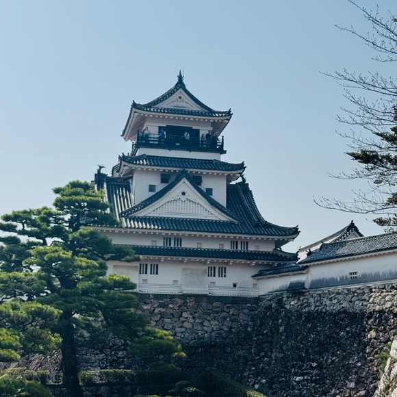 $5 , Free shipping Saturday, for live share show
Picture taken in Japan - Picture 3 of 7